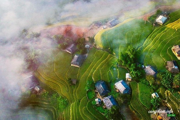 Tư vấn du lịch phượt Hoàng Su Phì, Hà Giang chi tiết và mới nhất 2020