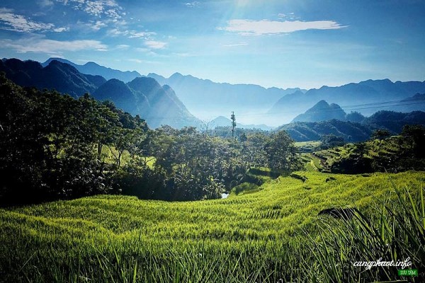 Tư vấn du lịch phượt, đặt phòng homestay ở Pù Luông