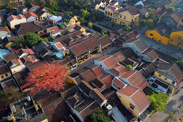 Hội An mùa cây bàng lá đỏ