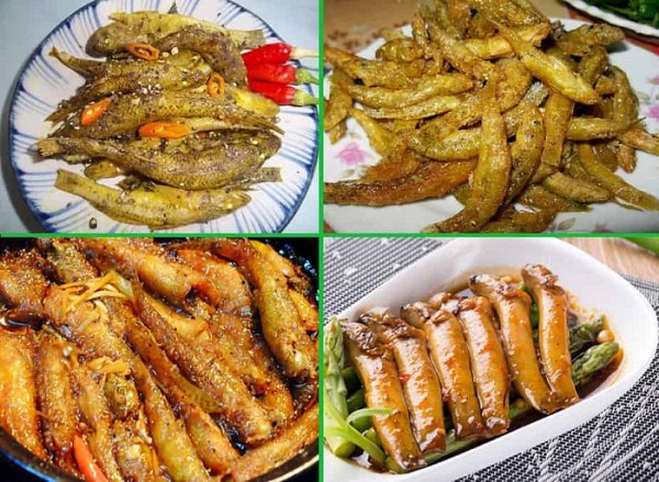 Cá bống suối + cá tầm