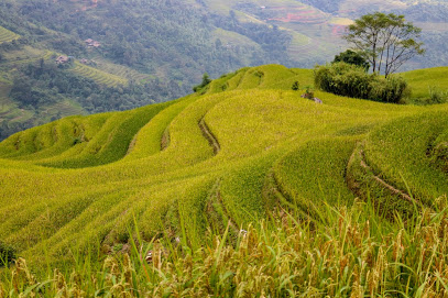 Khuổi My - Phương Độ - Hà Giang