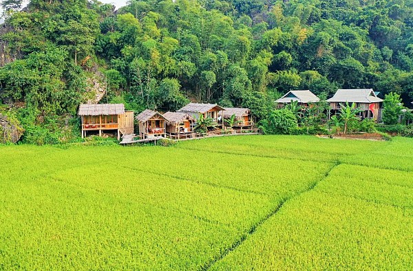 Little Mai Chau Homestay