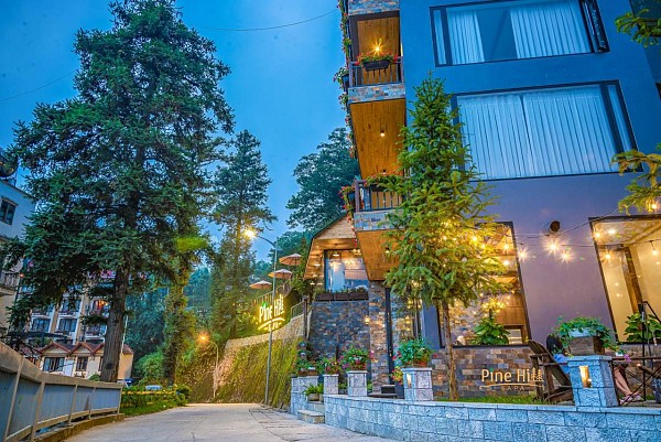 Khu nghỉ dưỡng sạn Sapa Pine Hill Eco Lodge