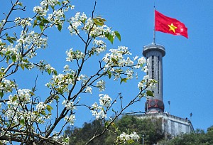 Muôn hoa khoe sắc ở Hà Giang