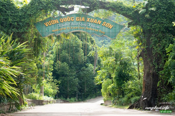 Tư vấn du lịch phượt, đặt phòng homestay ở Xuân Sơn, Phú Thọ mới nhất - 2020