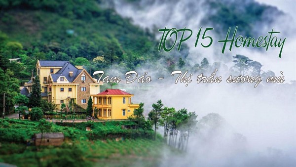 Top 15 homestay Tam Đảo giá tốt, view đẹp mới nhất 2022