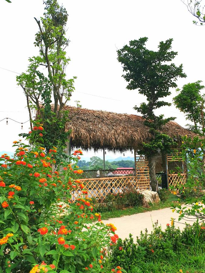 Vũ Linh Palm House Homestay